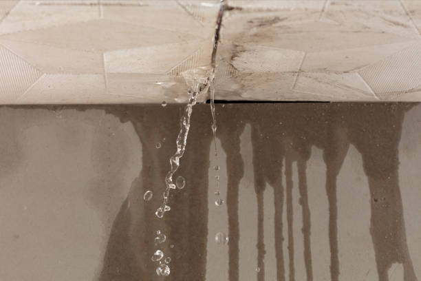 Professional Flood Damage Cleanup technician working in Atwood, IL